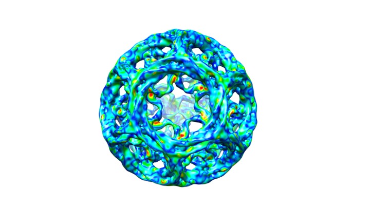 Image of clathrin cage