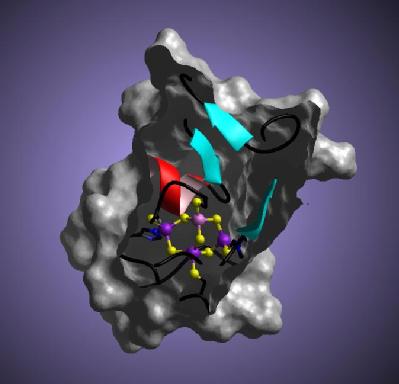 Molecule