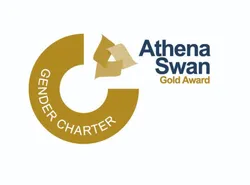 Gold Award