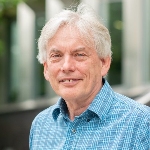 Prof David Hutchins