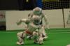A pink team robot recovers from a fall.