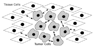 Signalling by tumour cells