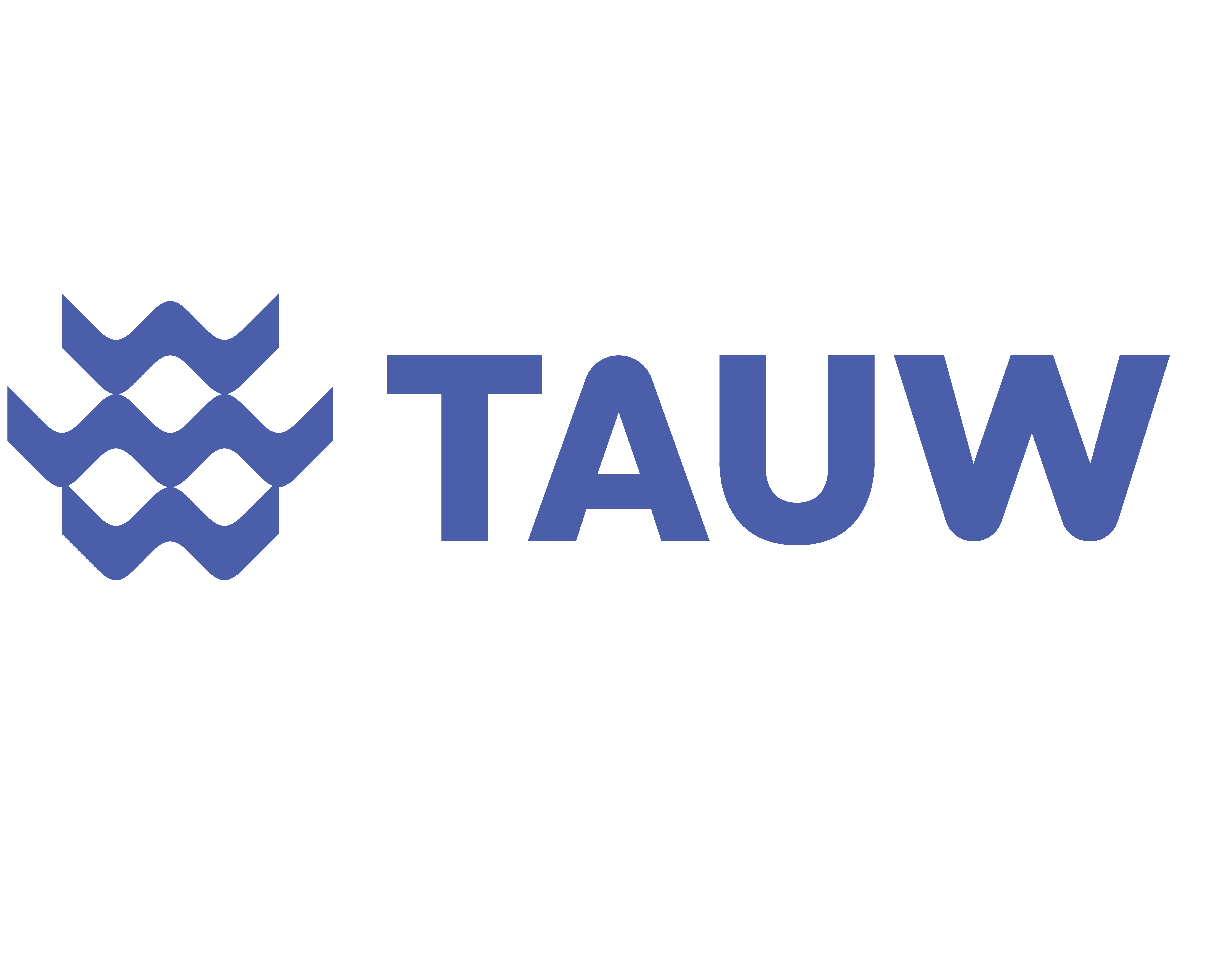 TAUW Logo