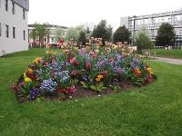 Campus