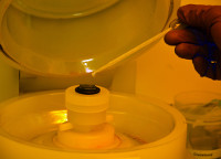 Person applying primer solution using pipette