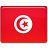 tunisia-flag-icon.png