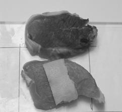 fig 4a