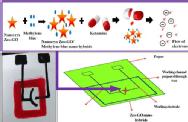 Ketamine sensor (Silicon based sensor)