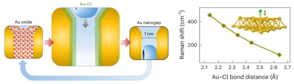 Raman spectra calculation of Cl on Au