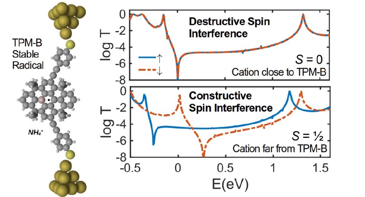Spin interference