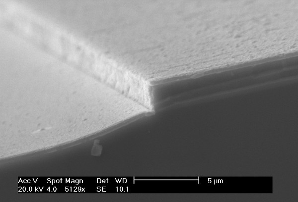 Metal layer viewed with SEM