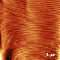 AFM Image of InSb Surface