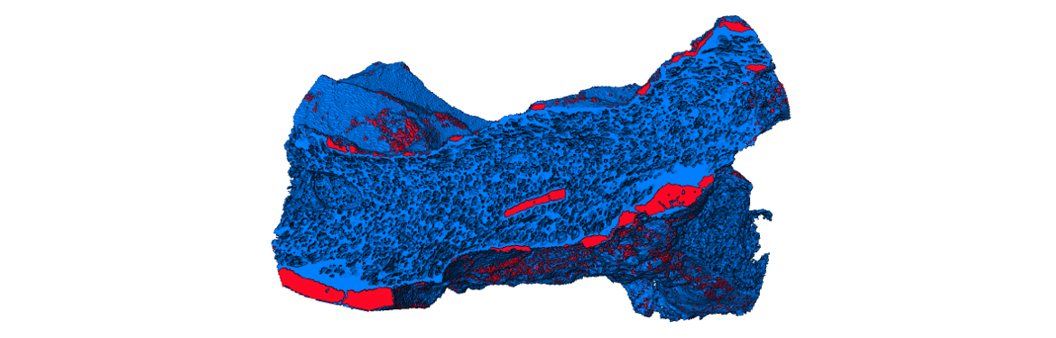 Statistics of porous media attributes and mixing processes state variables across scales