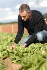 John Clarkson in lettuce field