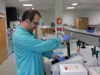 Checking sample dilutions with spectrophotometer