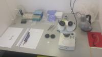 Set up for Developmental Physiology practical