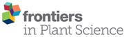 front_plant_sci_logo.jpg