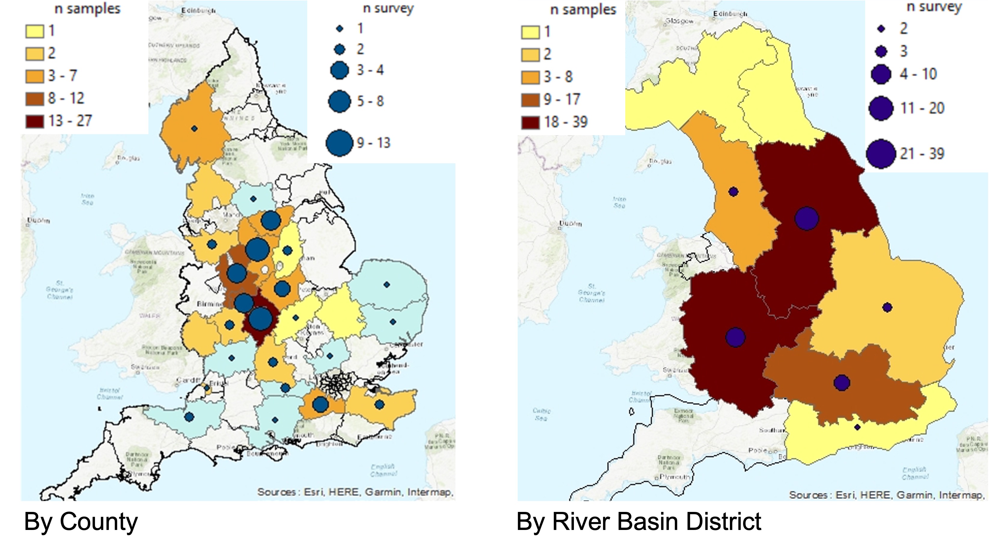 Surveys and samples distributions across England