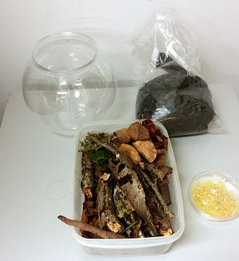 A bowl, bag of compost, twigs and slime mould