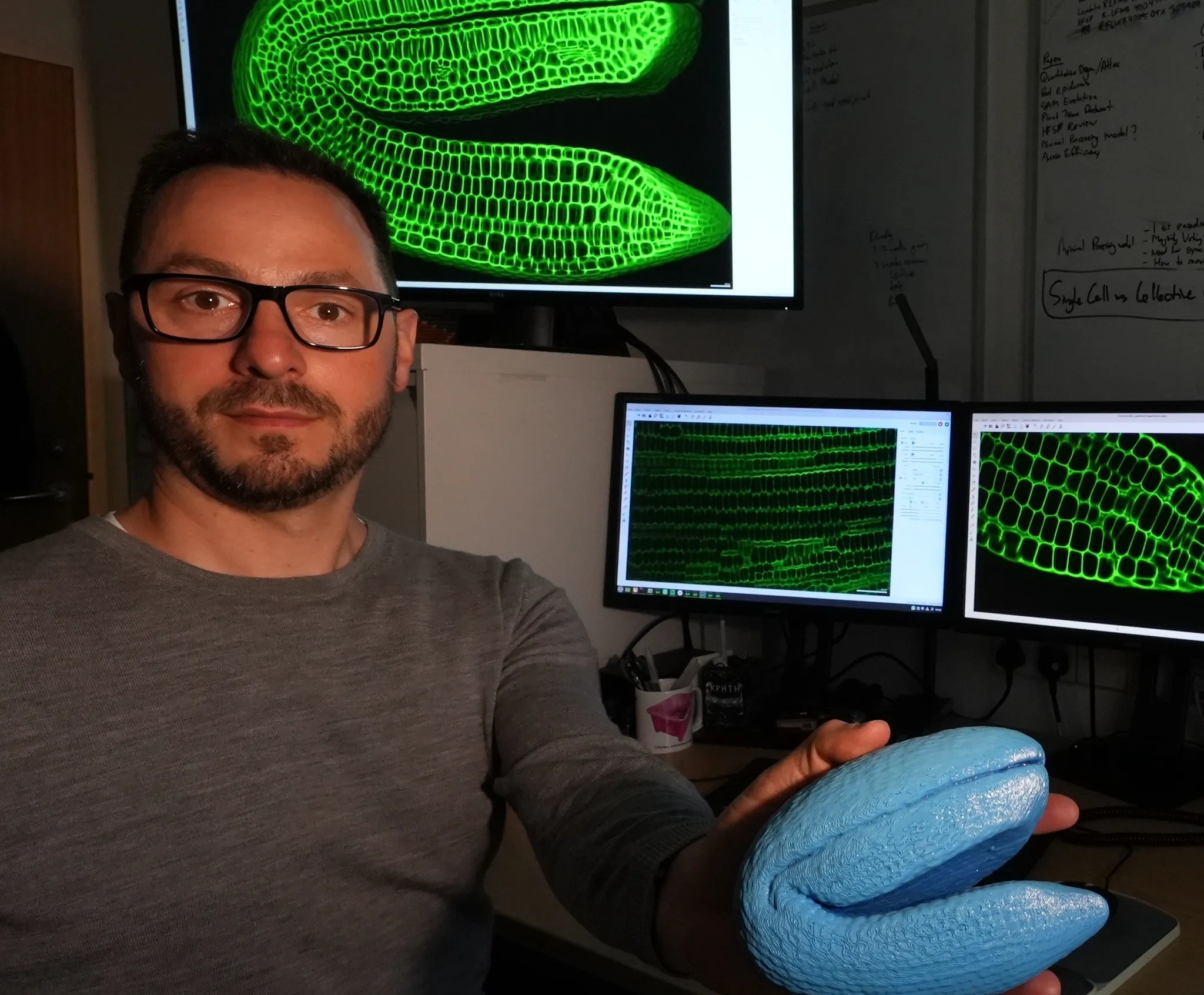Professor George Bassel