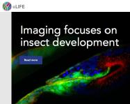 eLife home page image