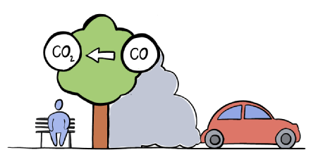 CO-CO2 schematic