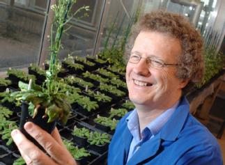 Jim Beynon with Arabidopsis