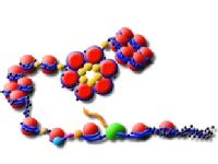 Epigenetics logo