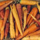 Carrot Diversity