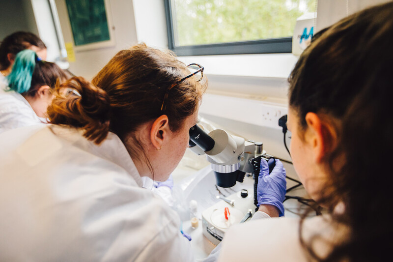 Student in lab