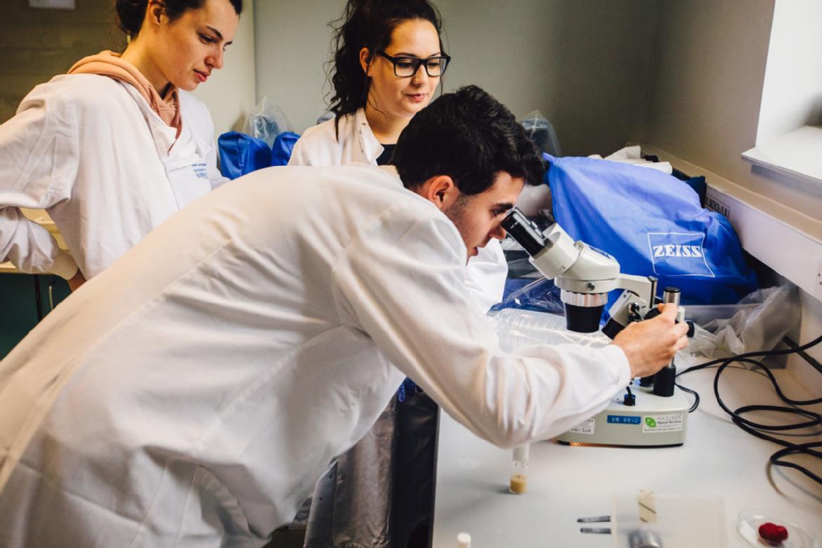 Students in the lab
