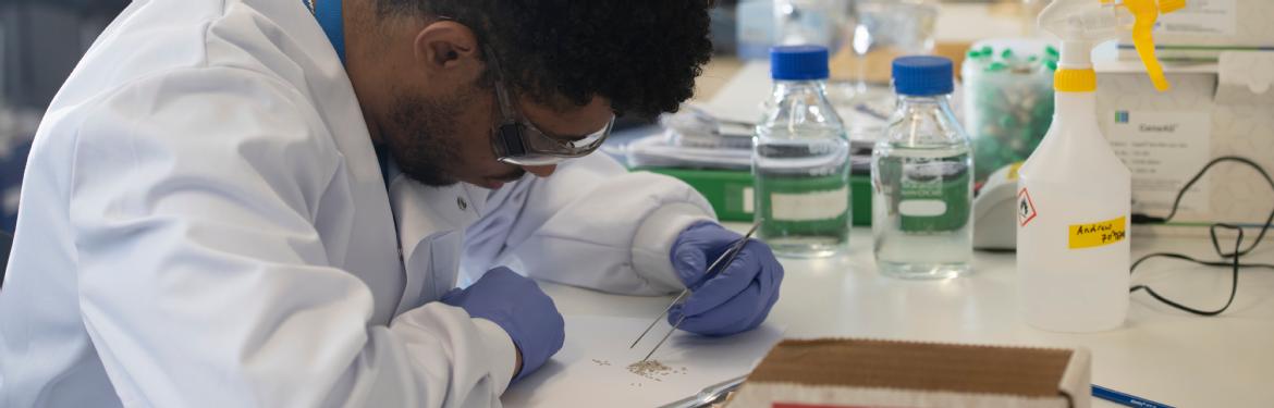 Black PhD student in lab