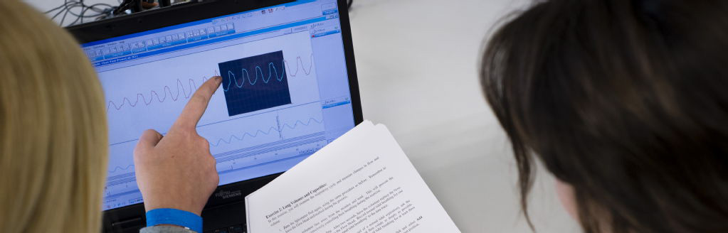 Undergraduates looking at raw data on a computer screen