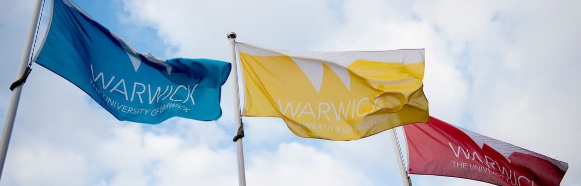 University of Warwick flags