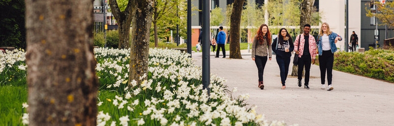 Group of students walking through campus