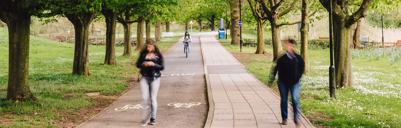 People walking and cycling on the Tocil Wood path