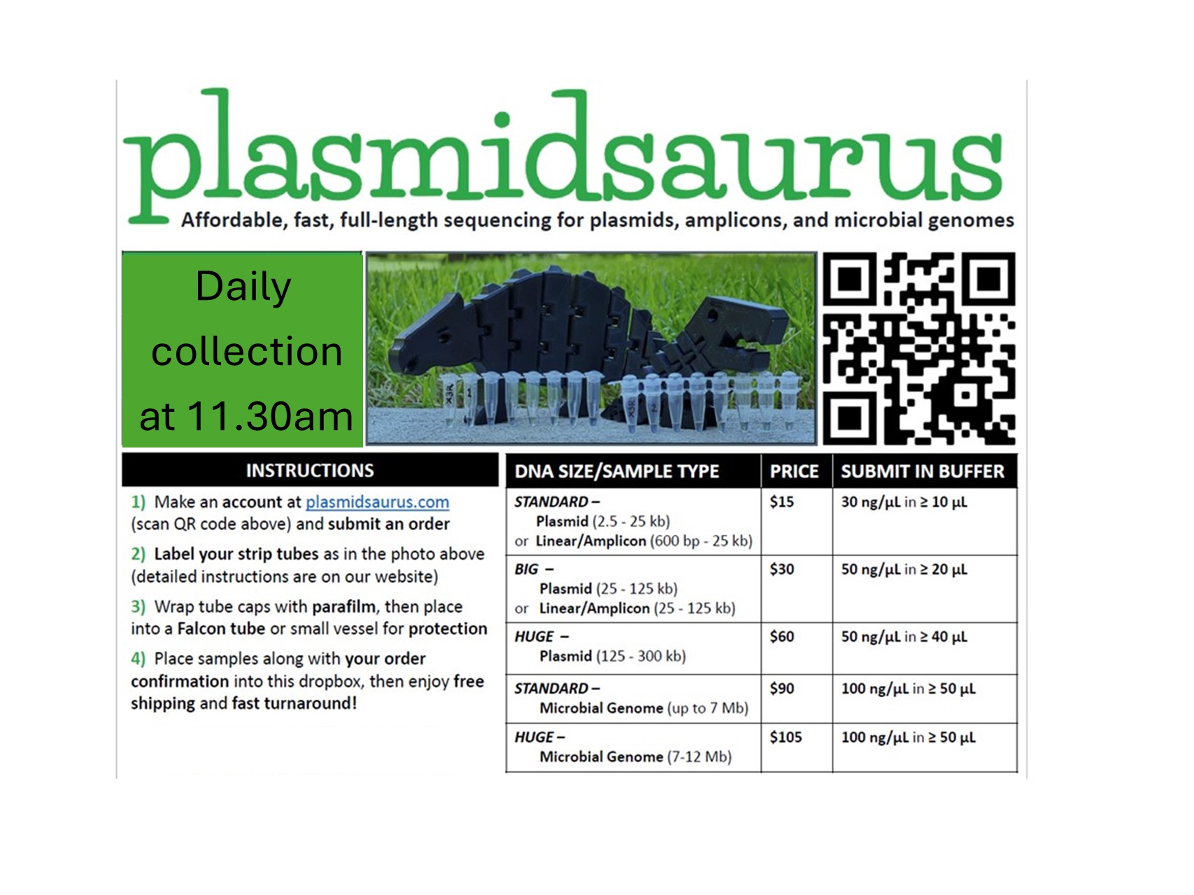 plasmidsaurus details