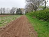 wildflower sowing
