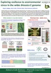 Exploring resilience to environmental stress in the wider Brassica C genome