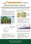 Genetic Diversity in Lettuce