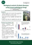 Biological Control of Plant Diseases using Insect Pathogenic Fungi