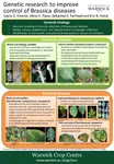 Genetic Research to Improve Control of Brassica Diseases