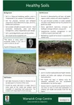 Healthy Soils