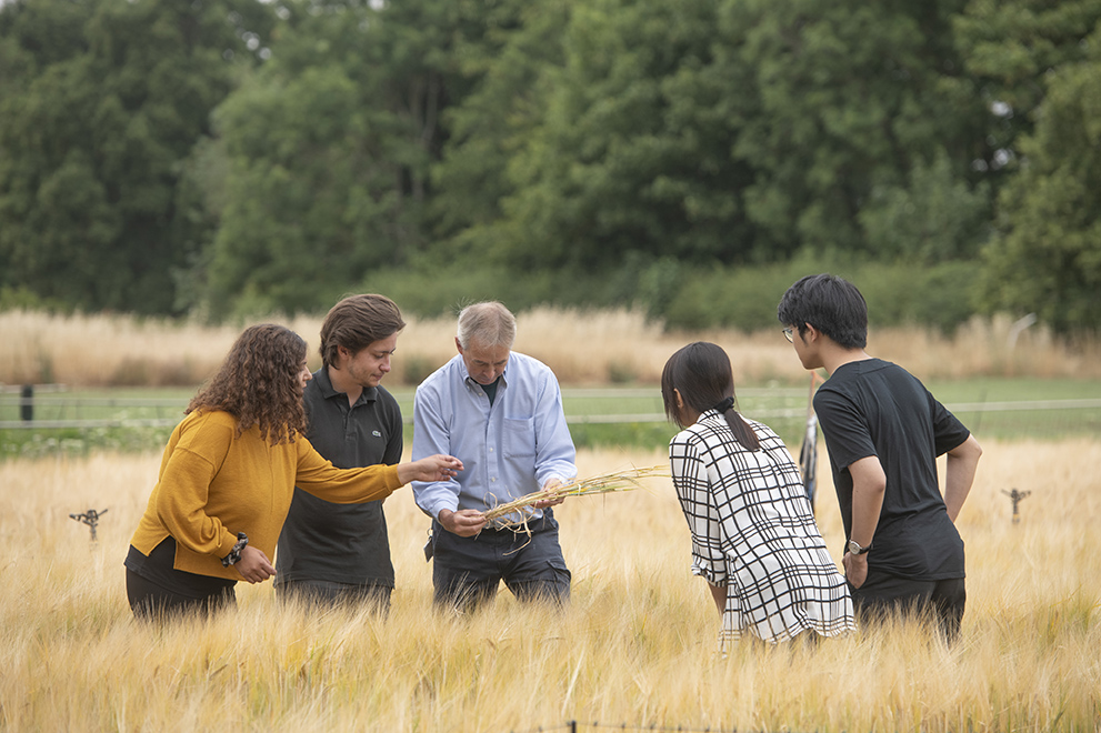 Researchers in field