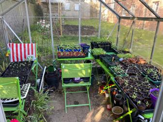 Farm School Greenhouse