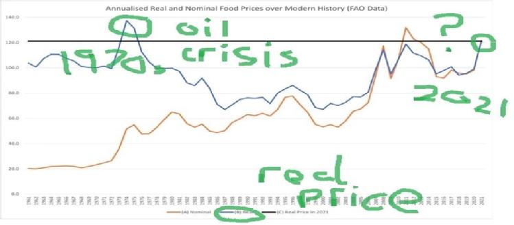 Real food prices graph
