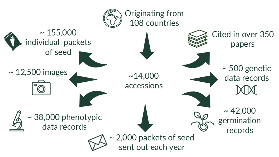 Infographic. Central text reads around 14,000 accessions. Arrow pointing into central text reads "originating from 108 countries". Arrows come out from central text read "Cited in over 350 papers", "around 500 genetic data records", "around 42,000 germination records", "around 2,000 packets of seed sent out each year", "around 38,000 phentoypic data records", "around 12,500 images", "around 155,000 individual packets of seed"