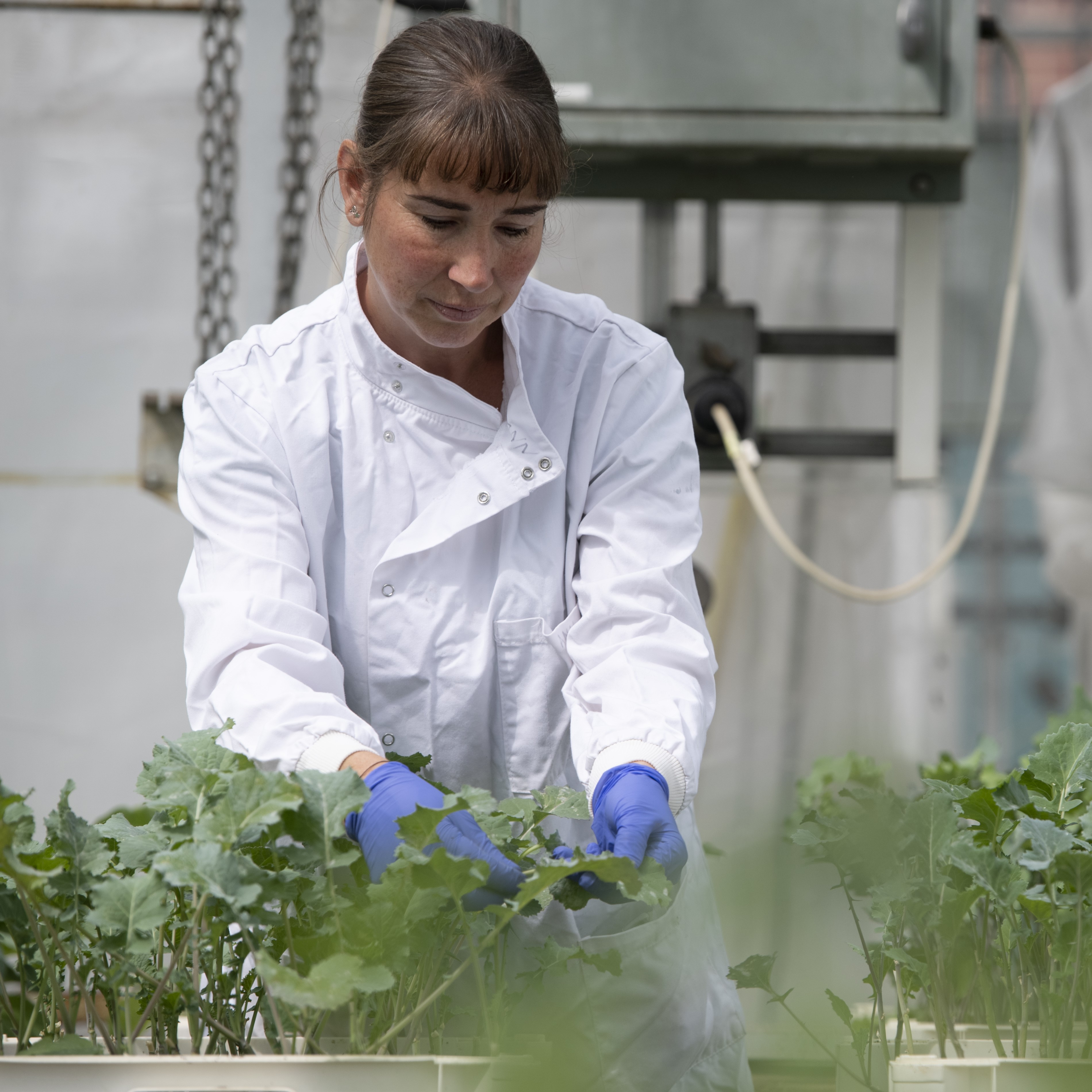 Woman in lab coat holding plant leaves
