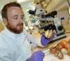 Dr Andrew Taylor