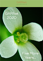 Garnish23